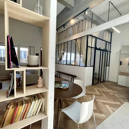 Appartamento I Loft , Climatisé Et Garage Privée Vichy