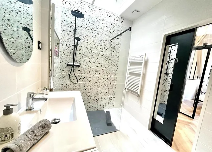 I Loft , Climatise Et Garage Privee * Vichy