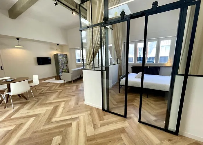 I Loft , Climatise Et Garage Privee * Виши