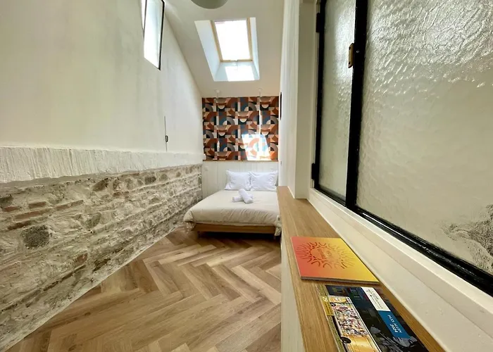 Apartamento I Loft , Climatise Et Garage Privee Vichy